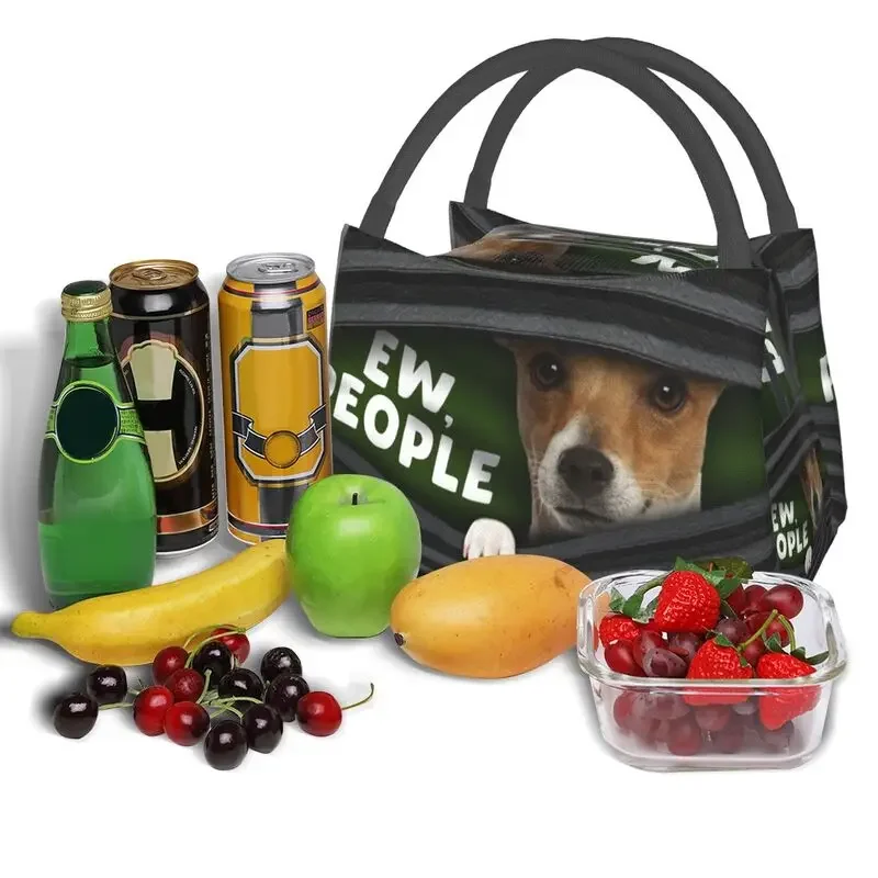 Lustige Jack Russell Hund isolierte Lunch pakete für Frauen tragbare Kühler Thermal Bento Box Arbeits reise