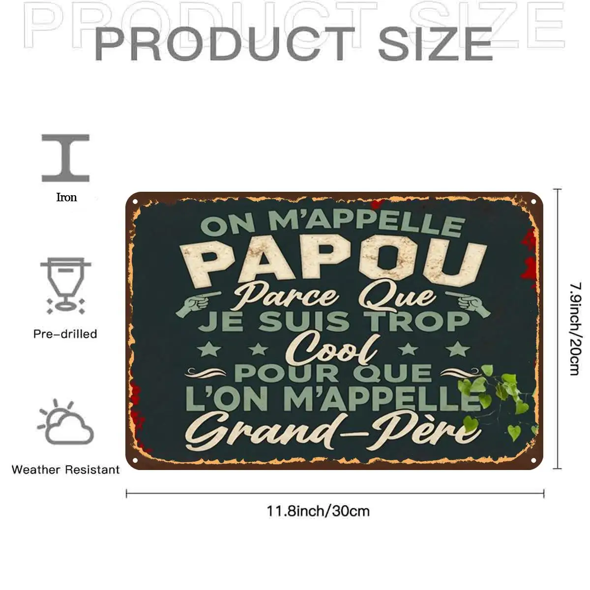 2D Flat,1pc,Retro VintageFunny Papou Vintage Metal SignMetal Tin Sign, Pre-Drilled Holes, Suitable for Indoor, Garden,Outdoor