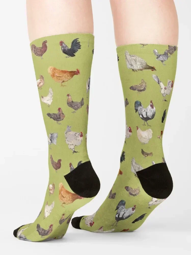 Chicken Happy pattern w/ light olive green background Socks luxe Children's Lots Sports Male Socks Women's