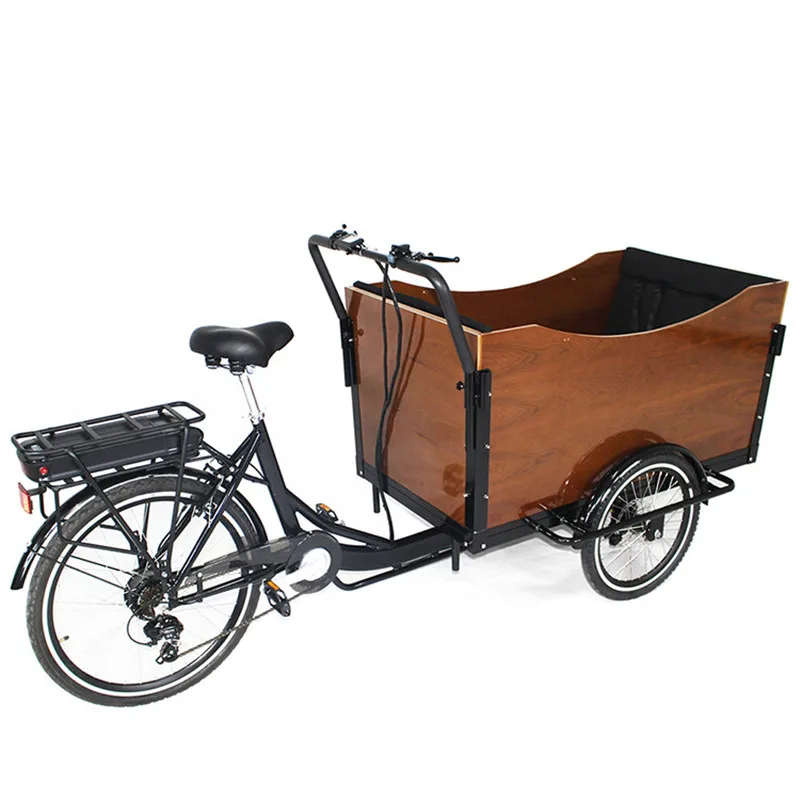 

New Design Electric Family Cargo Bike Adult Tricycle for Transport and Grocery Shopping 6 Gear Speeds 250w Customizable