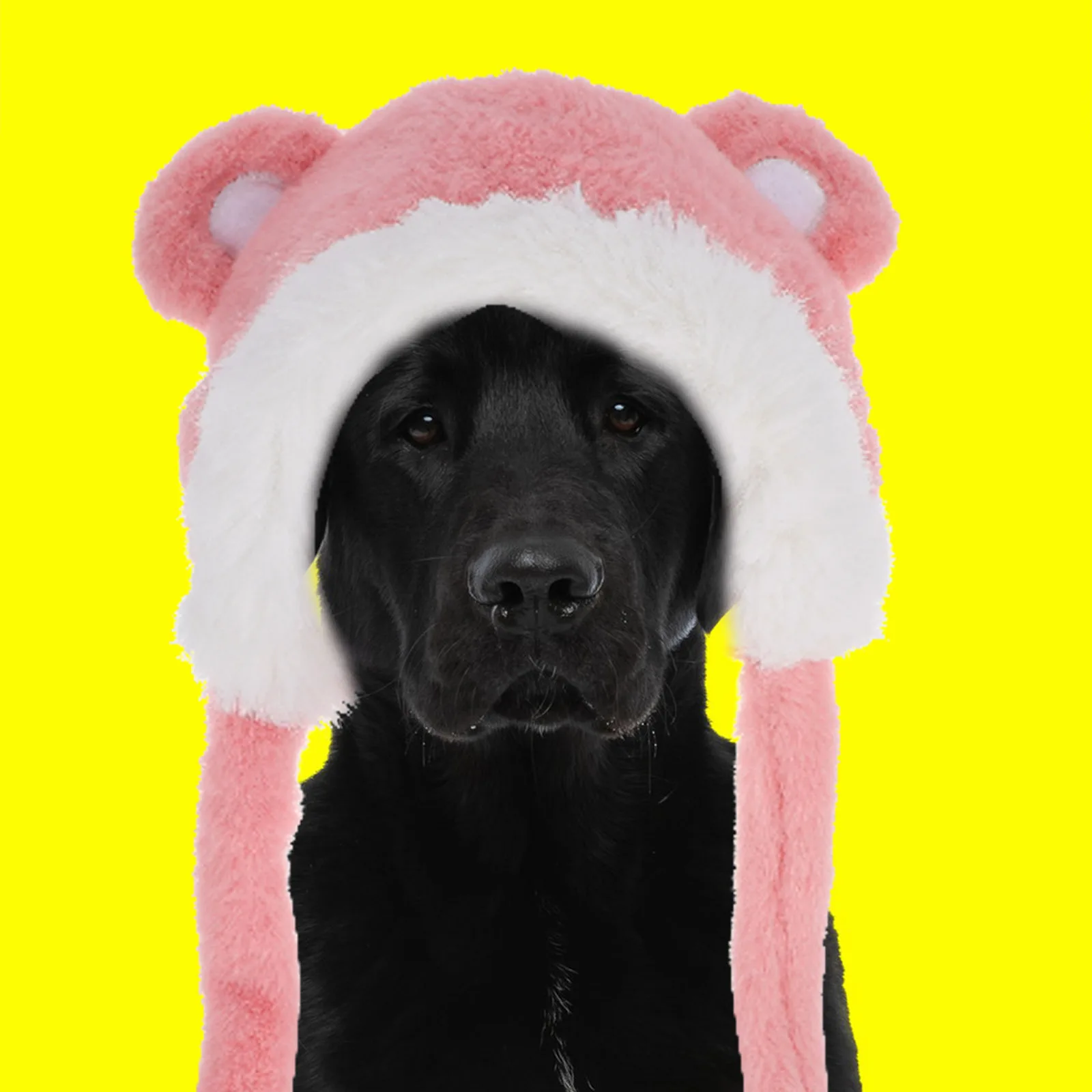 

Dog Winter Hat Hats for Cosplay Scarf Decorative Puppy Costume Accessories