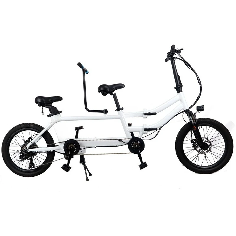 20-Inch aluminum lithium battery double riding electric bicycle 7-speed double disc brake household folding portable