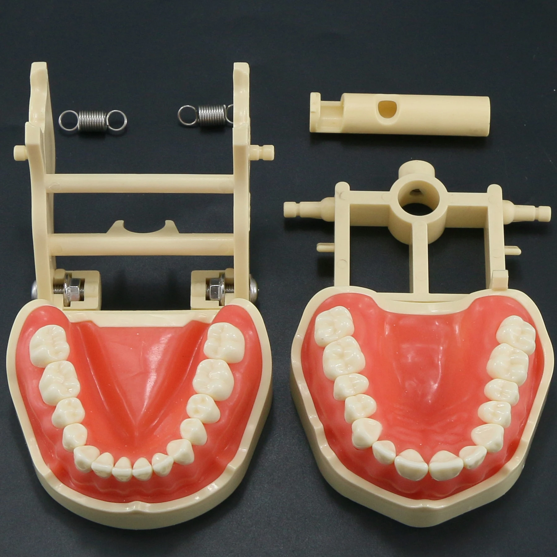 Frasaco ANA-4 Dental Typodont Teeth Model 28 sztuk ząb wkręcane wymiana odbudowy symulacja operacyjna M8013