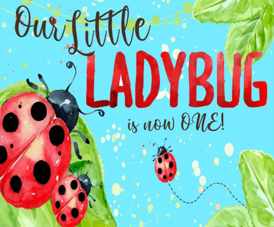 7x5FT Our Little Ladybug Turns One Red Black Baby Happy BirthdayCustom Photo Studio Backdrop Background Vinyl 220cm X 150cm