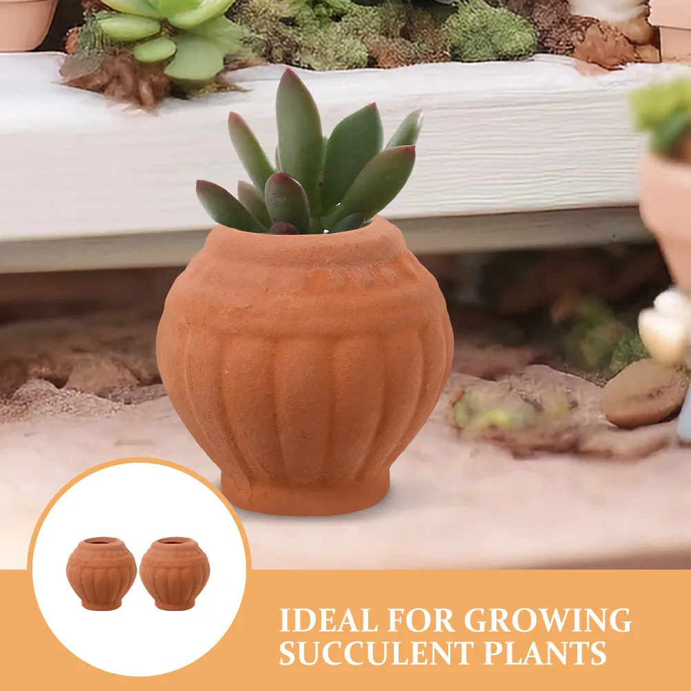 2pcs Mini Terracotta Pots Set – Rustic Clay Planters for Succulents, Desktop & Fairy Garden Decor