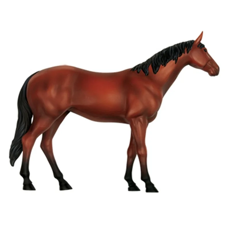 

Animal Organ Anatomy Model 4D Horse Intelligence Assembling Toy Teaching Anatomy Model DIY Popular Science Appliances