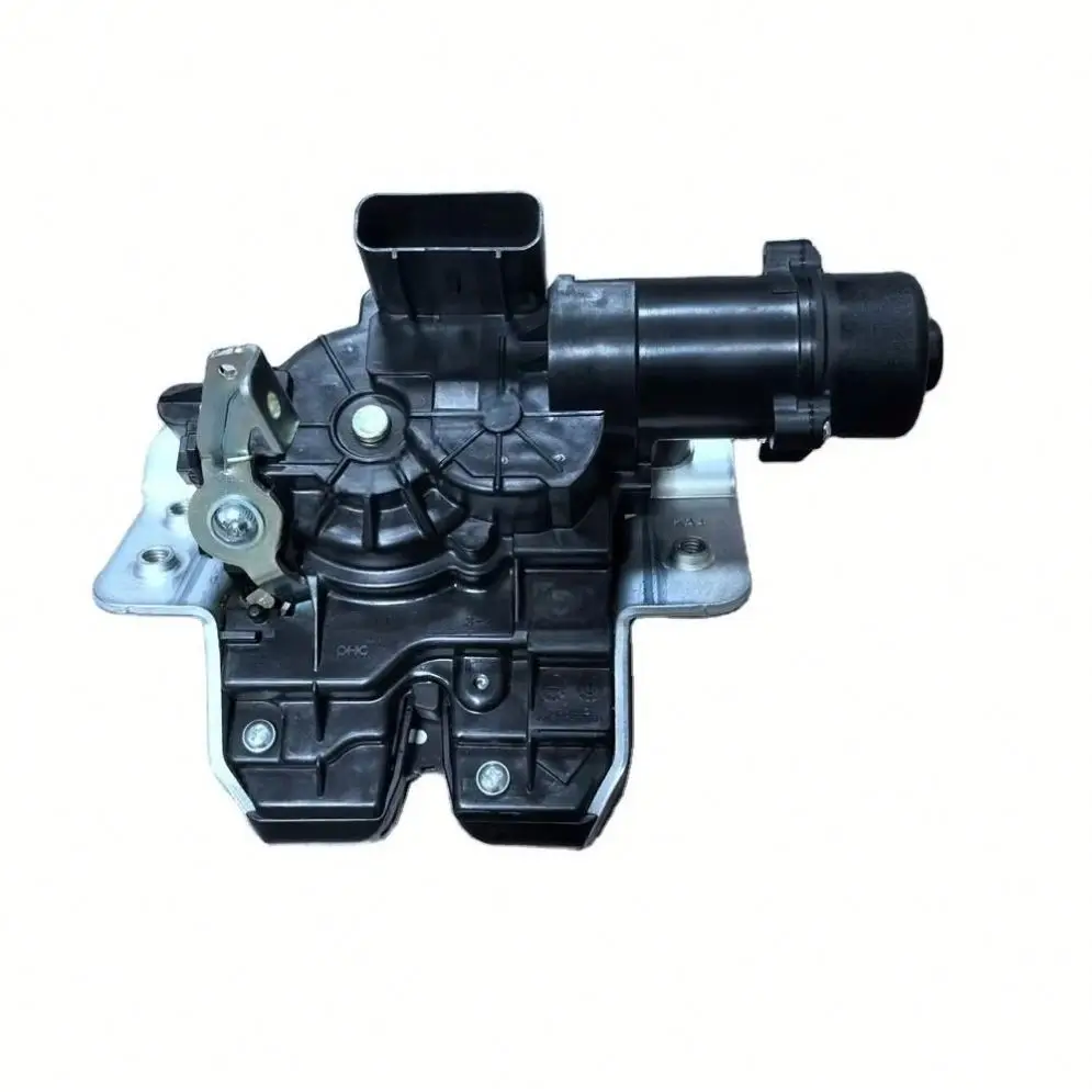 High Quality Auto Parts 81800 R0100 Auto Parts, Luggage Lock Block Assembly 81800R0100 81800-R0100