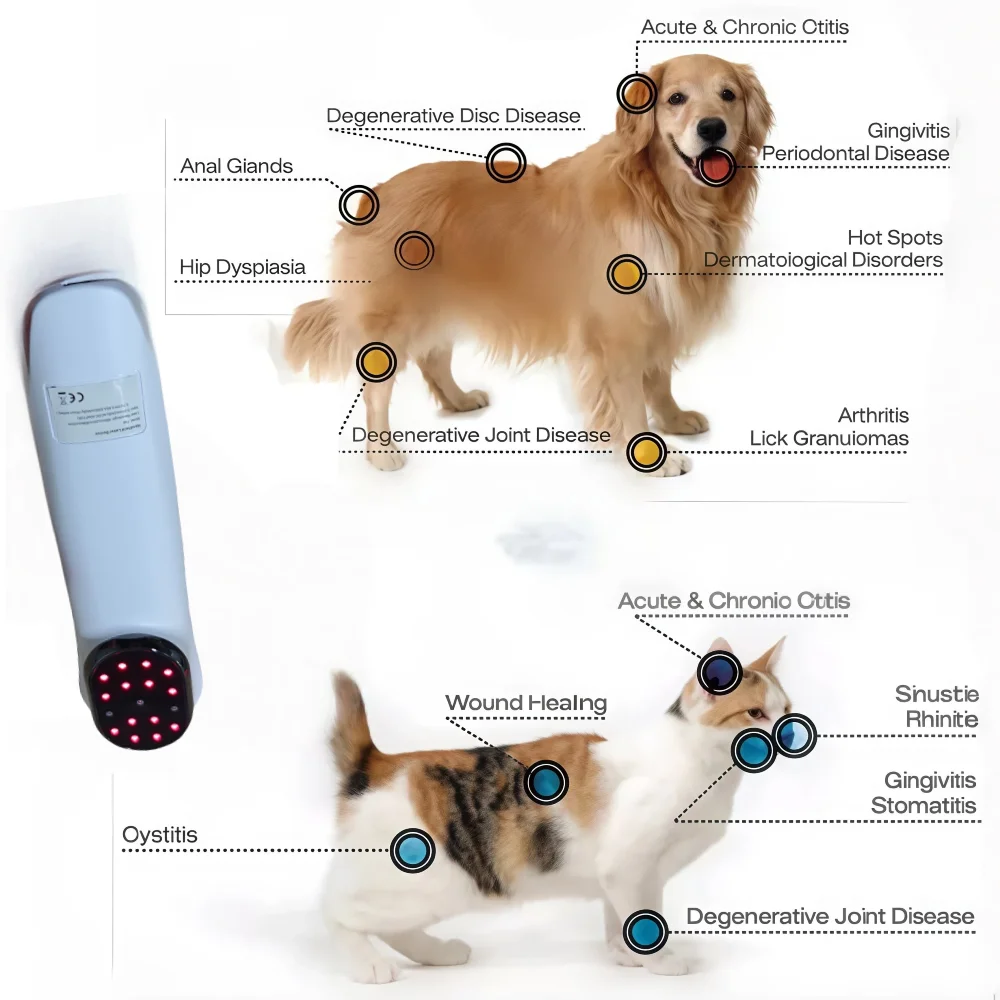 

Устройство для терапии холодным ближним инфракрасным светом для ветеринарного использования - физиотерапевтический инструмент для собак, кошек, лошадей, облегчения боли и восстановления