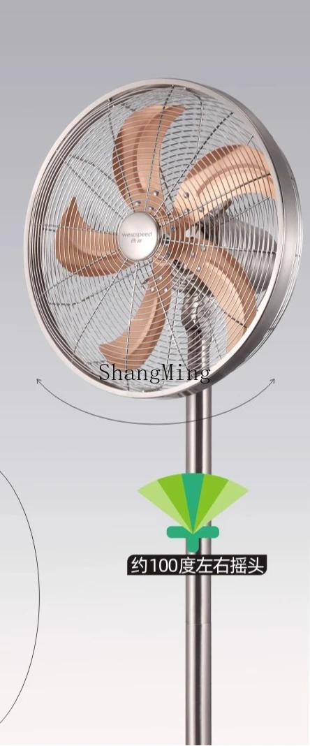 ZYY ventilatore elettrico in metallo dal pavimento al soffitto Conversione di frequenza CC telecomando supporto a risparmio energetico a doppio scopo