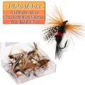 10Pcs