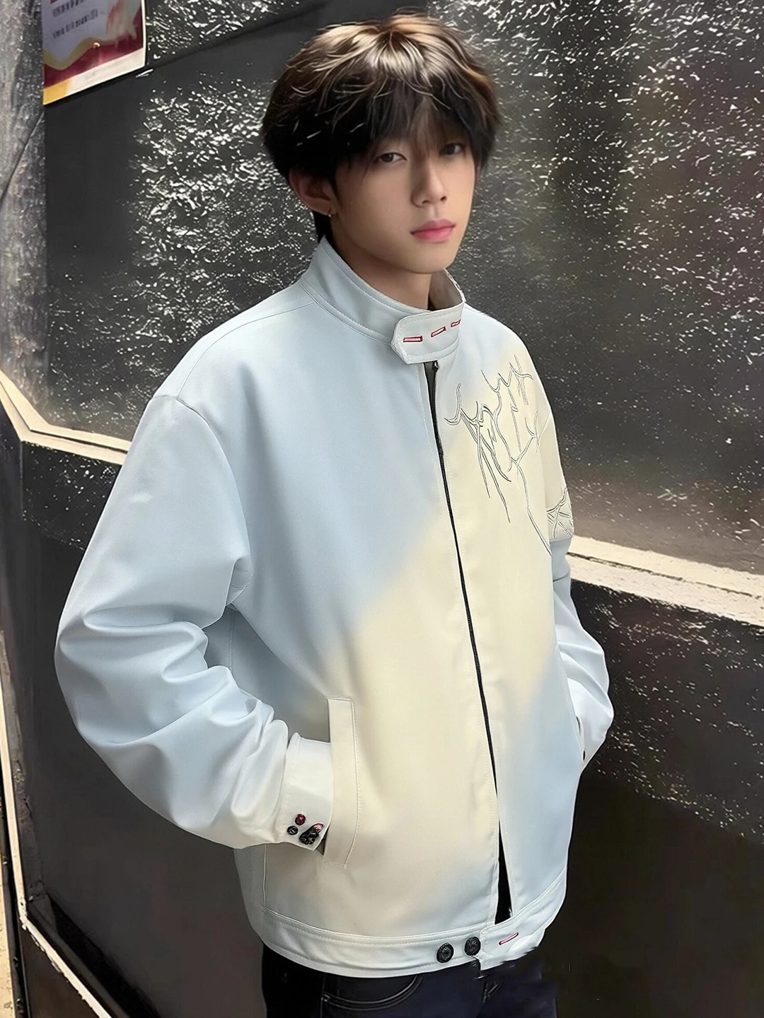 White Embroidered Short Jacket - Harrington Jacket 评论和价格