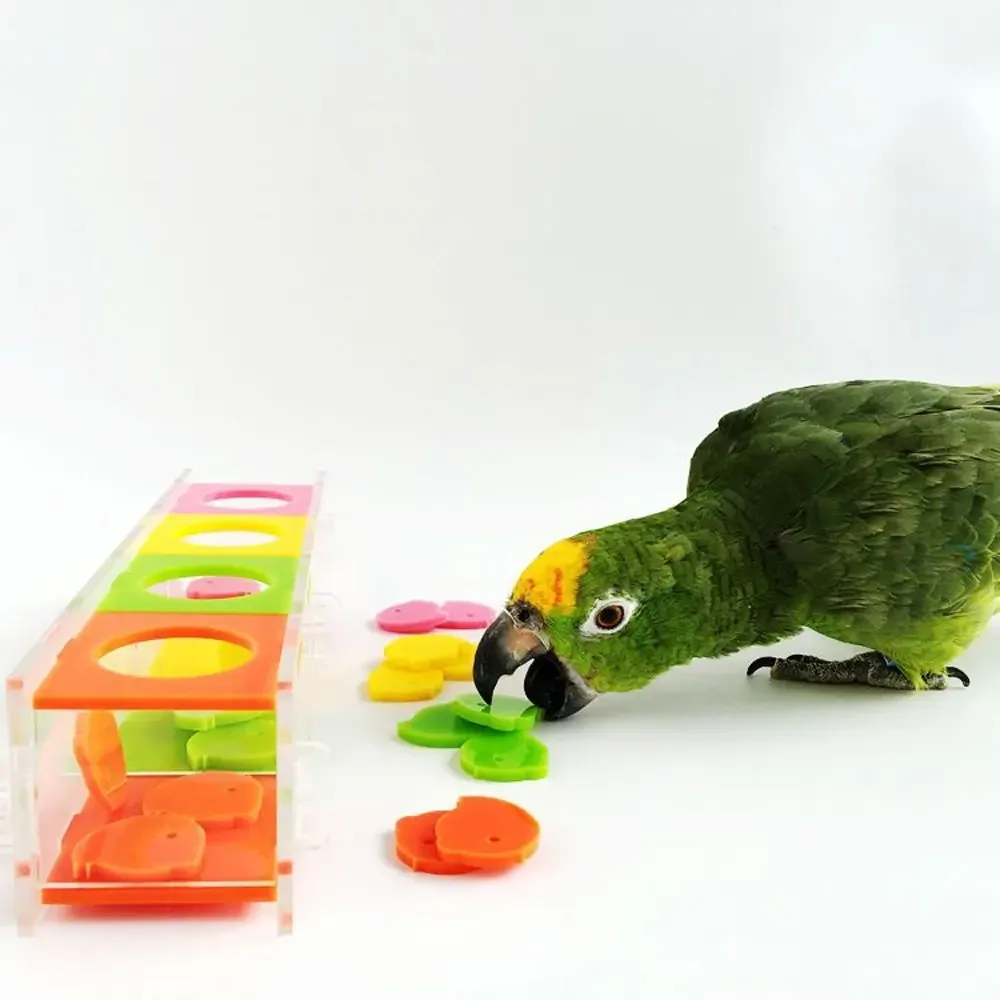 High Quality Pet Parrot Toys Bird Plaything Product Puzzle Toy For Cockatiel Educational Intelligence Training Supplies