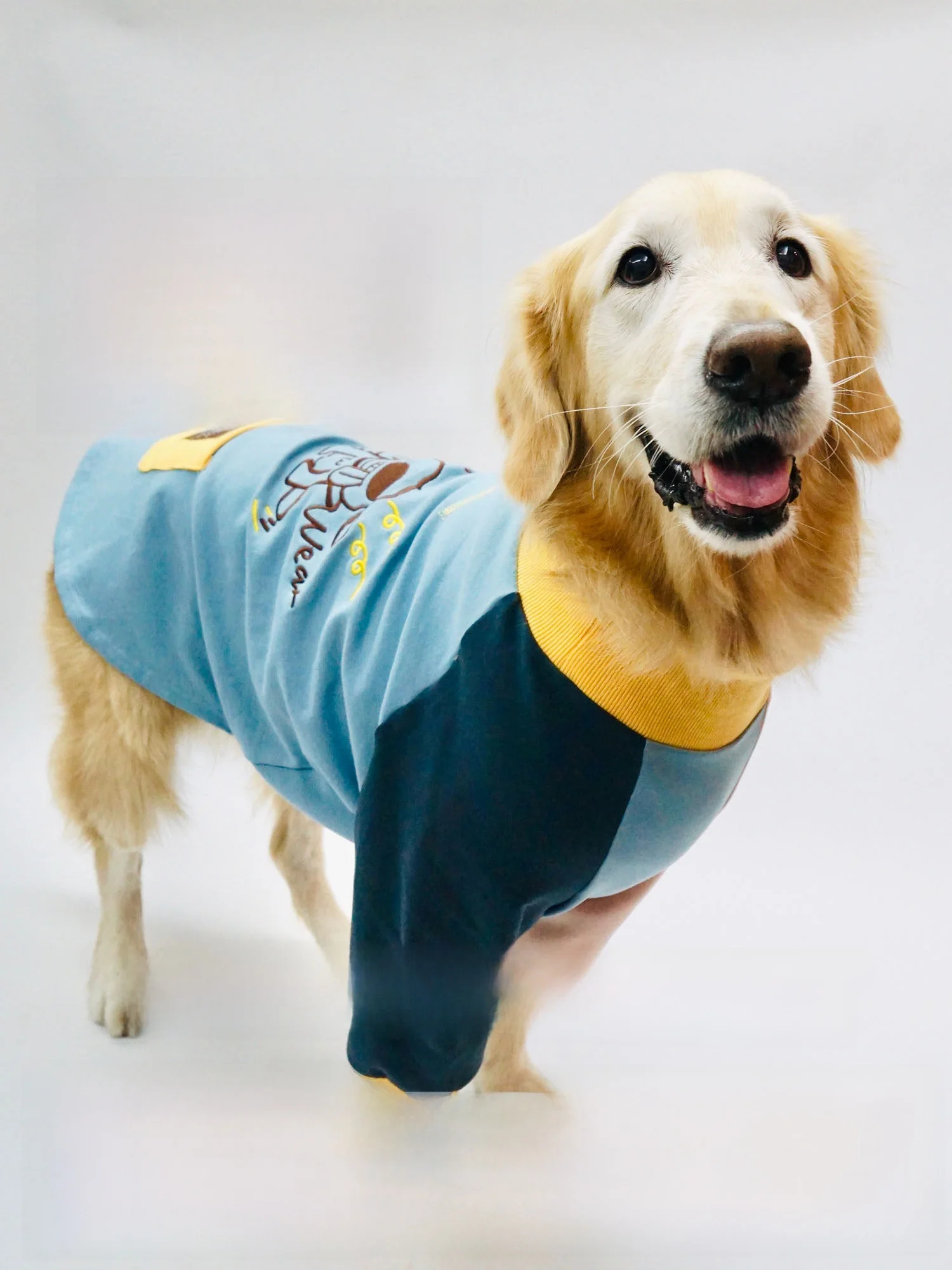 

Утепленная толстовка из чистого хлопка оригинального дизайна для собак: теплая одежда для золотистых ретриверов и лабрадоров на осень и зиму