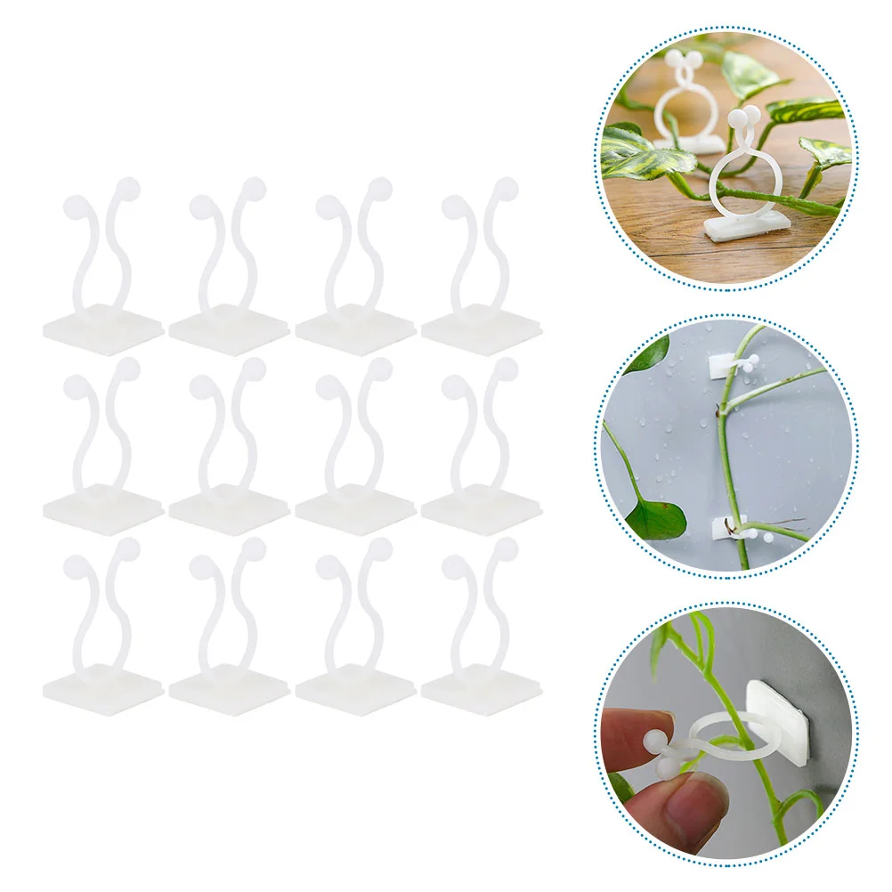 

100 Pcs Wall Mount Plant Money Support Indoor Ties Bracket Vine Clips Resin Hook for Climbing Plants