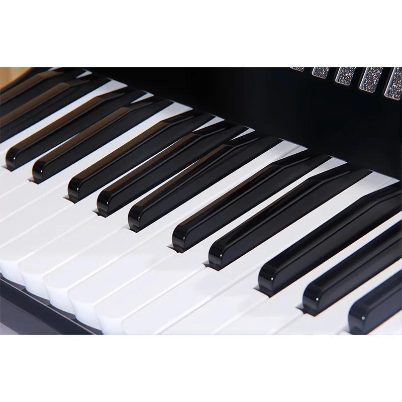Professional Adult Grade Examination Performance Beginner Keyboard Instrument 30 Keys 24 Bass Accordion