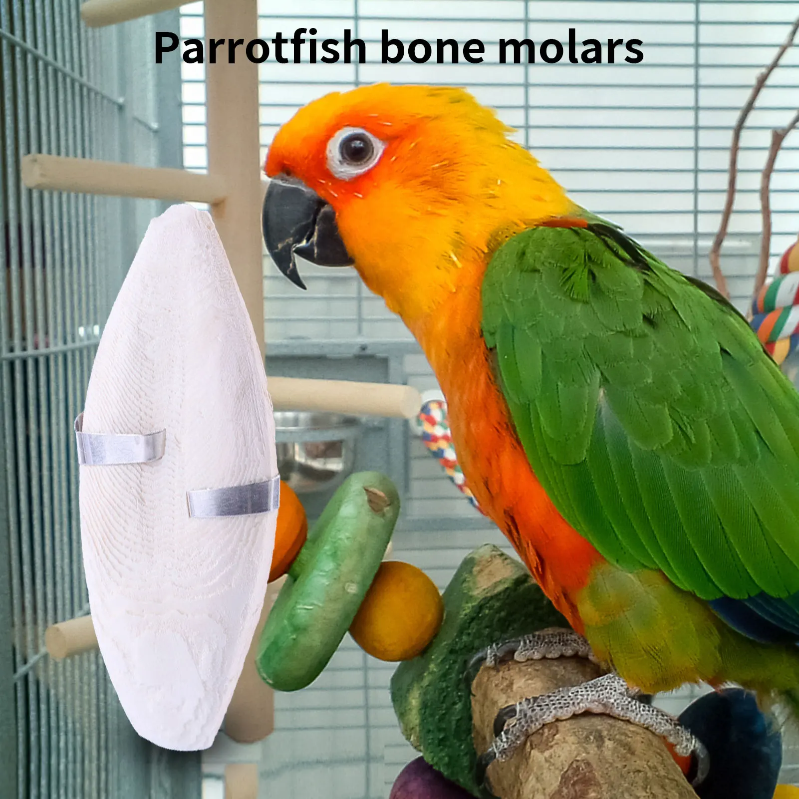 Natural Cuddle Bone Parrot Chewing Toys Cuttlefish Bone Bird Calcium & Sharp Beaks Cuttlefish Bone Bulk For Parakeets Cockatiel