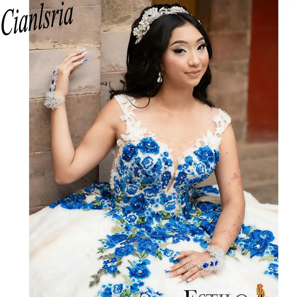 Newest Illusion Sleeveless Quinceanera Dresses Ball Gown Blue Embroidery Customized Corset Vestidos De XV Anos