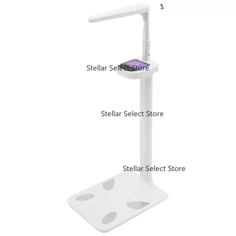 Advanced Body Weigh…