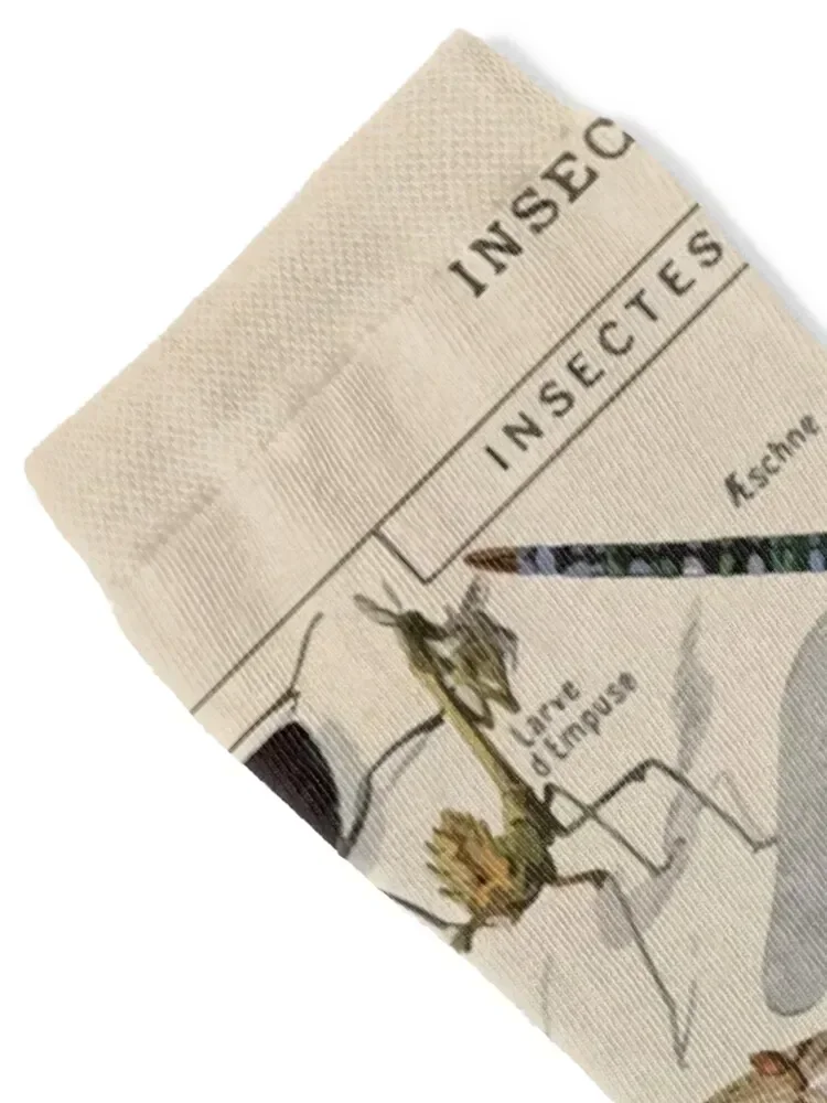 Adolphe Millot insectes Socks set designer brand Novelties Climbing Boy Socks Women's