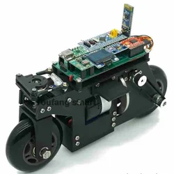 RC Tank 3D Printing Bike Cubli Balance Motorcycle APP Control 2WD Robotic Car for STM32 Programmable Robot Kit Robot Car Project