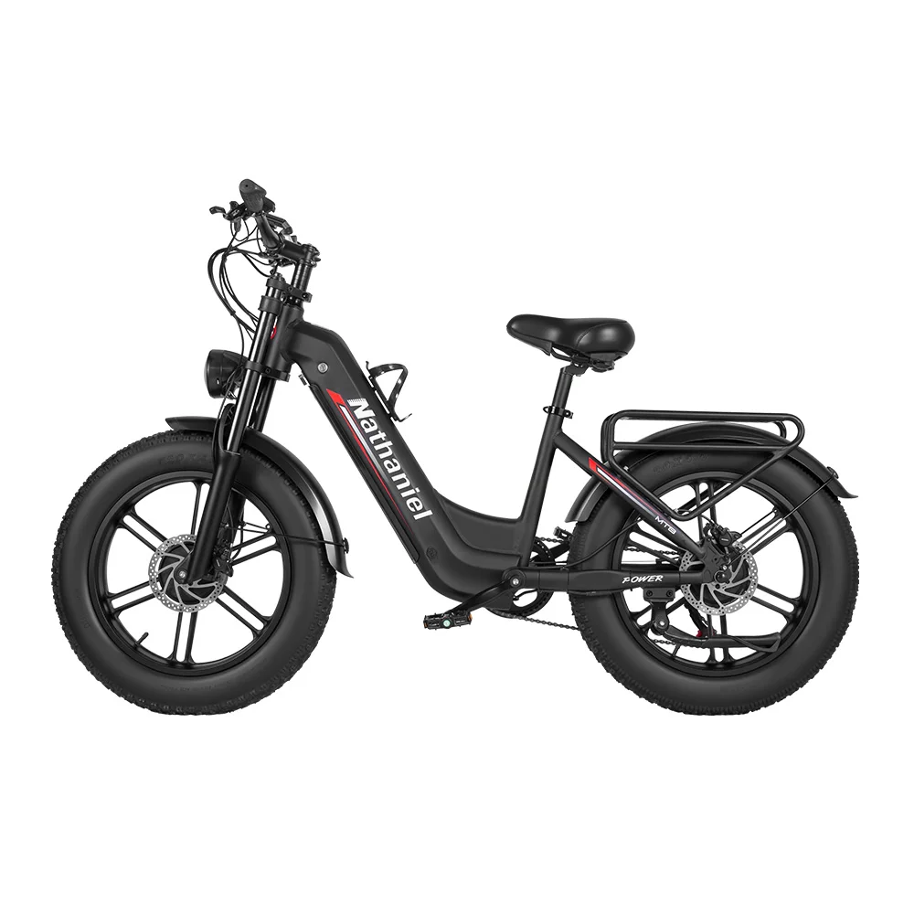 Dual Drive Integrated Wheel E-Bike 2000W 20x4.0 Tire 48V20AH for Urban Commuting & Off-Road Snow/Sand image 1