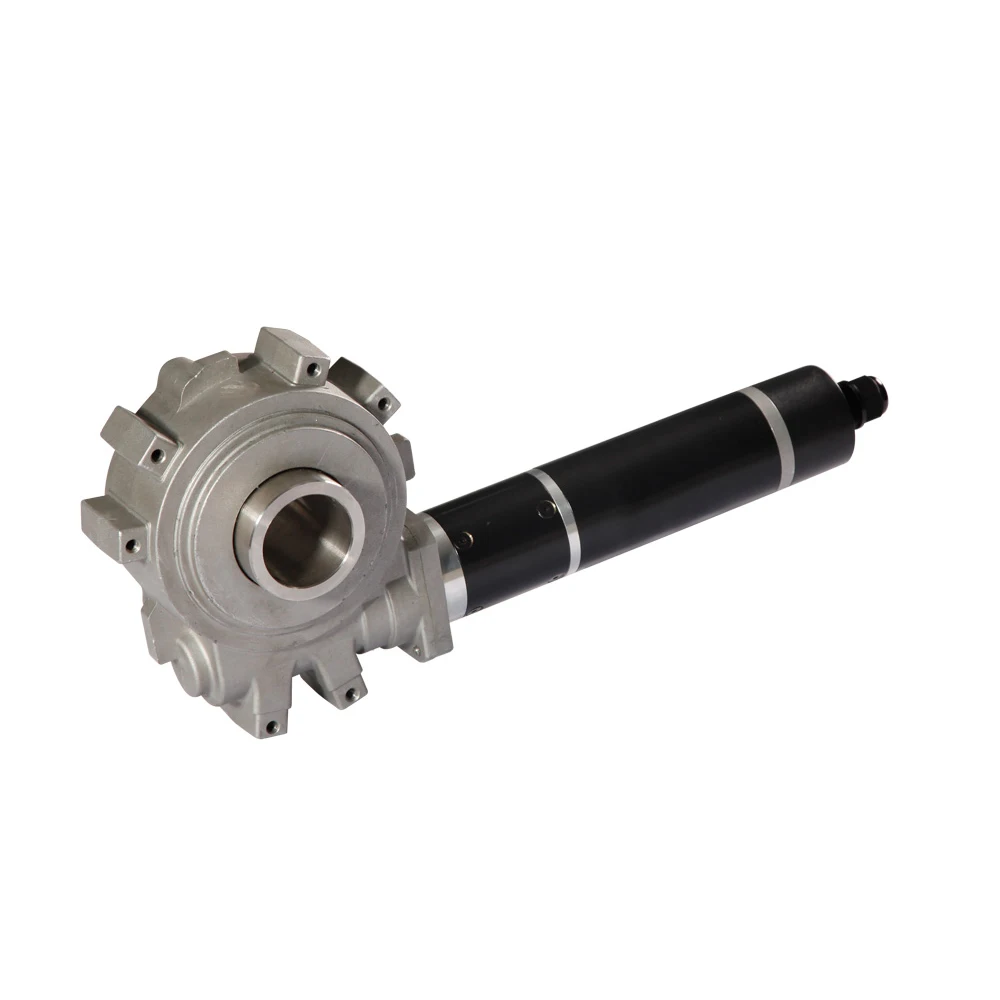 

High Torque Low Speed Endless SPA Pool & Tubs Cover Lift DC Worm and Planetary Gear Motor