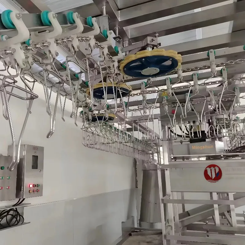 Custom 1000-2500 CE Approved Chicken Duck Poultry Slaughtering Production Line Halal Slaughter House Machine