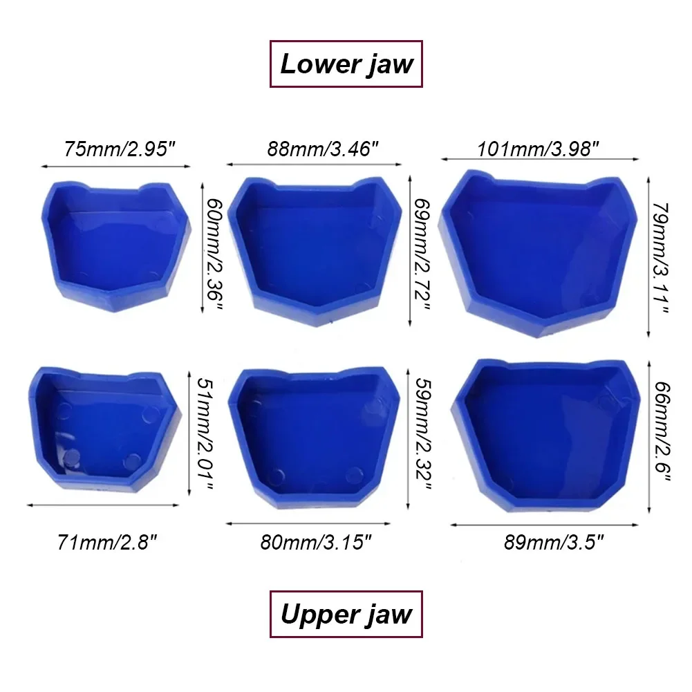 6Pcs Dental Lab Model Former Base Set S/M/L Plaster Impression Tray Silicone Rubber Upper Lower Jaw Denture Gypsum Model Mould