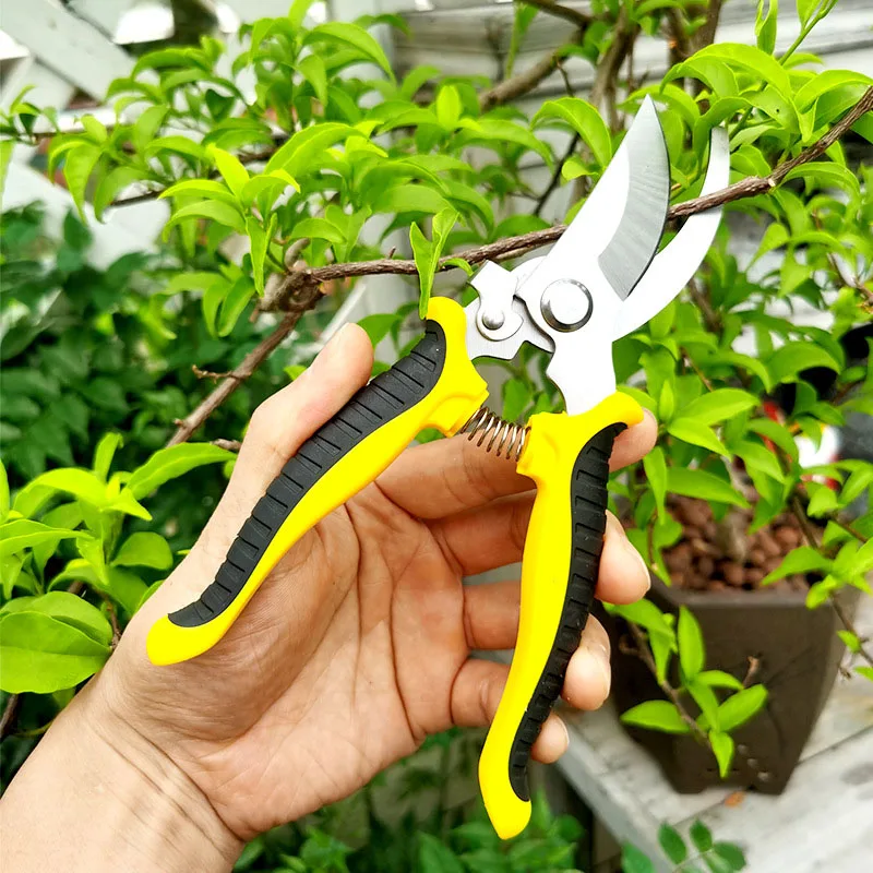 Pruner Garden Scissors Sharp Bypass Pruning Shears Tree Trimmers Hand Tools Professional Shears for The Garden Beak Scissors