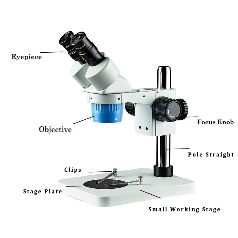 BD6024C-PS Binocular Jewelry & Gemology Upgrade Stereo Microscope
