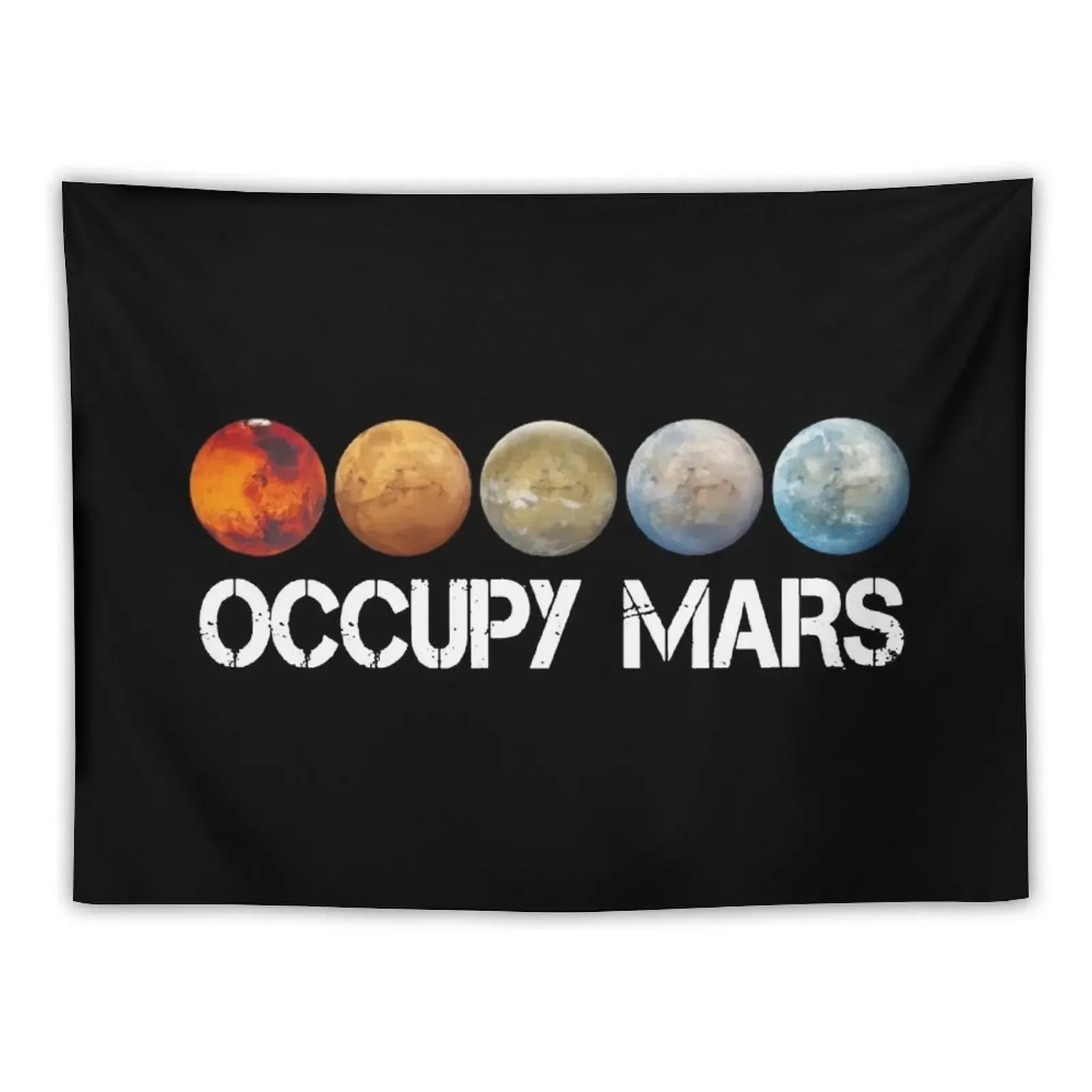 elon musk occupy mars Tapestry Room Ornaments Decoration Room Tapestry