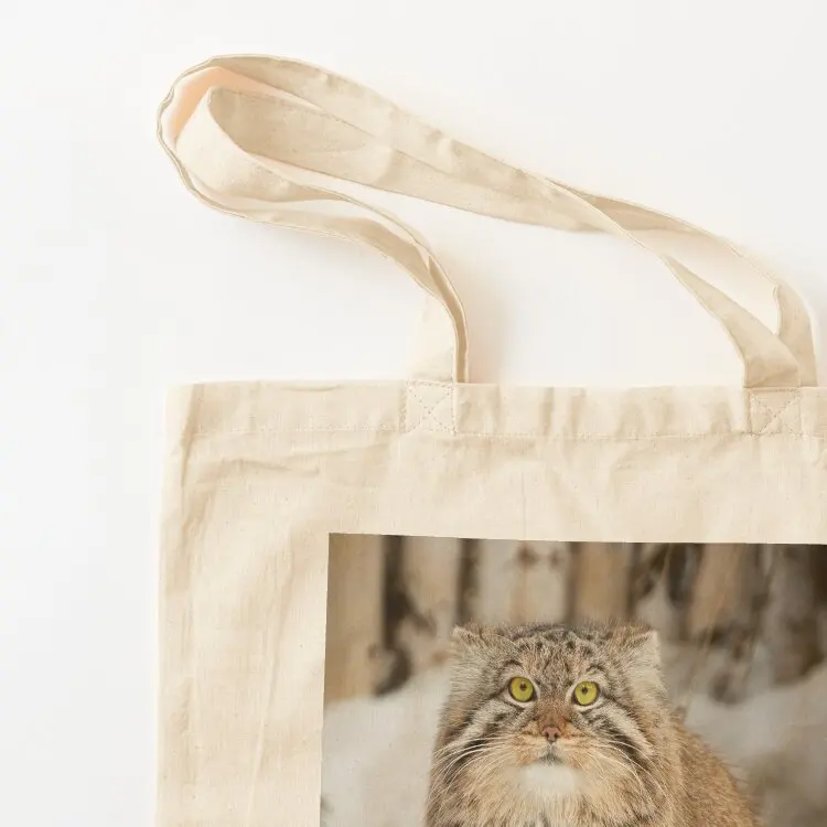 قطة إيما ذا بالاس ينتظر إلى الربيع يأتي حقيبة تسوق قماشية وحقائب مخصصة وحقيبة نسائية