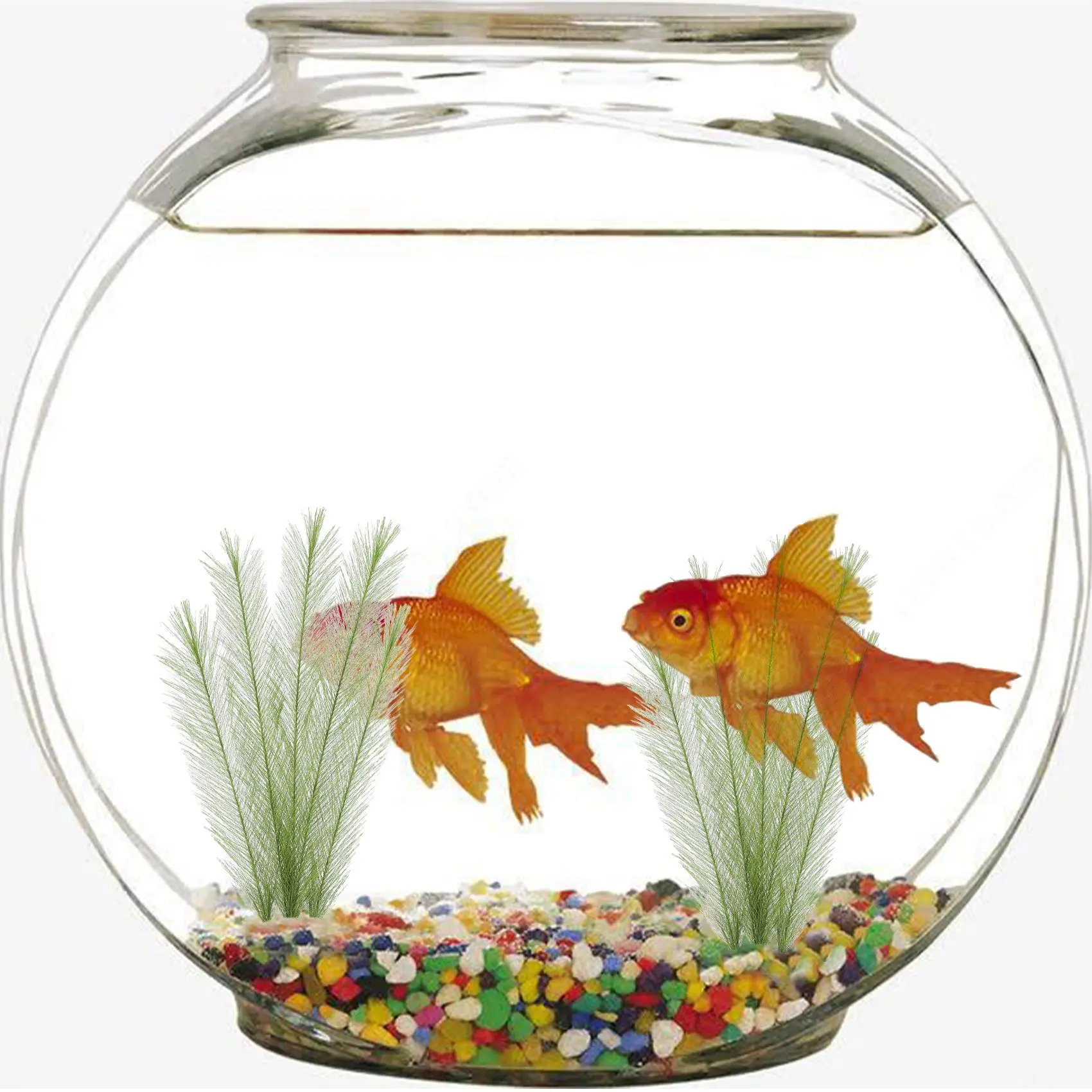 Décorations d'aquarium de poissons artificiels verts, en plastique, non et sans danger pour tous les poissons et animaux de compagnie, précieux