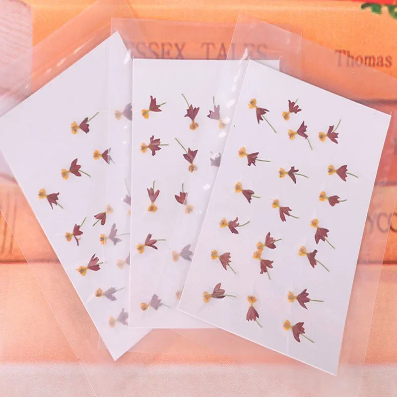 40Pcs,Pressed Real Flower Petals,Nature Dancing Flower, DIY Craft, Phone Bookmark, Gift Card,Flores, Jewelry, Facial Decor