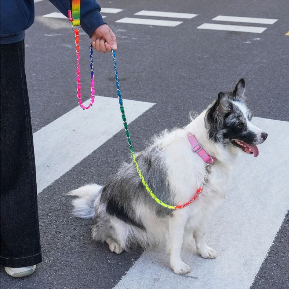 new-rainbow-dog-leash-bite-resistant-pet-walking-lead-soft-handle-no-choke-rope-for-teddy-golden-retriever