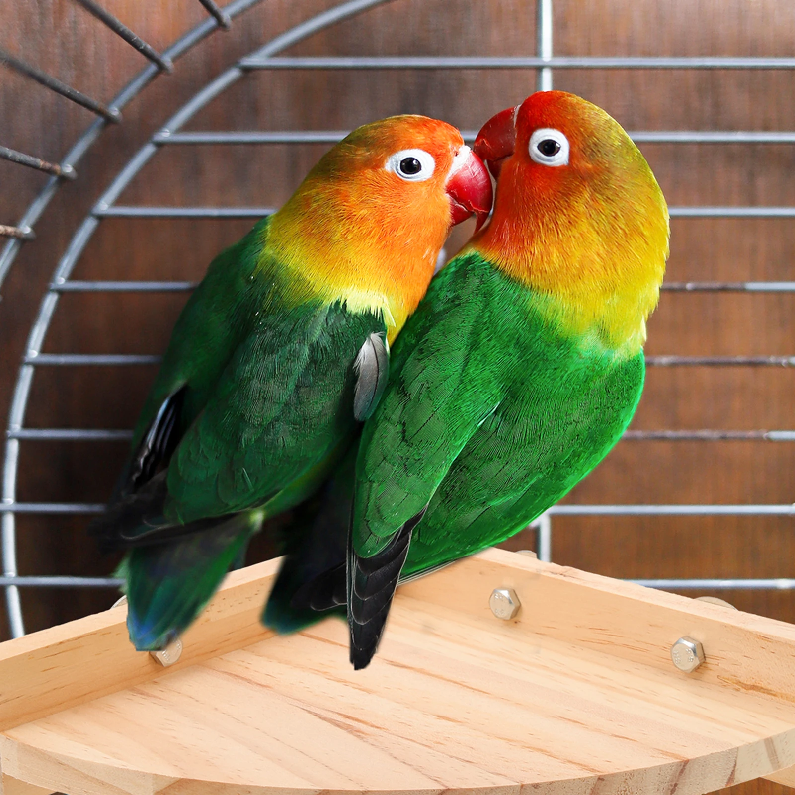 

Parrot Perch Wood Platform Natural Safe Durable Cage Supply St Roost Accessory Bird Perches Wooden Large Multi Birds Play Place