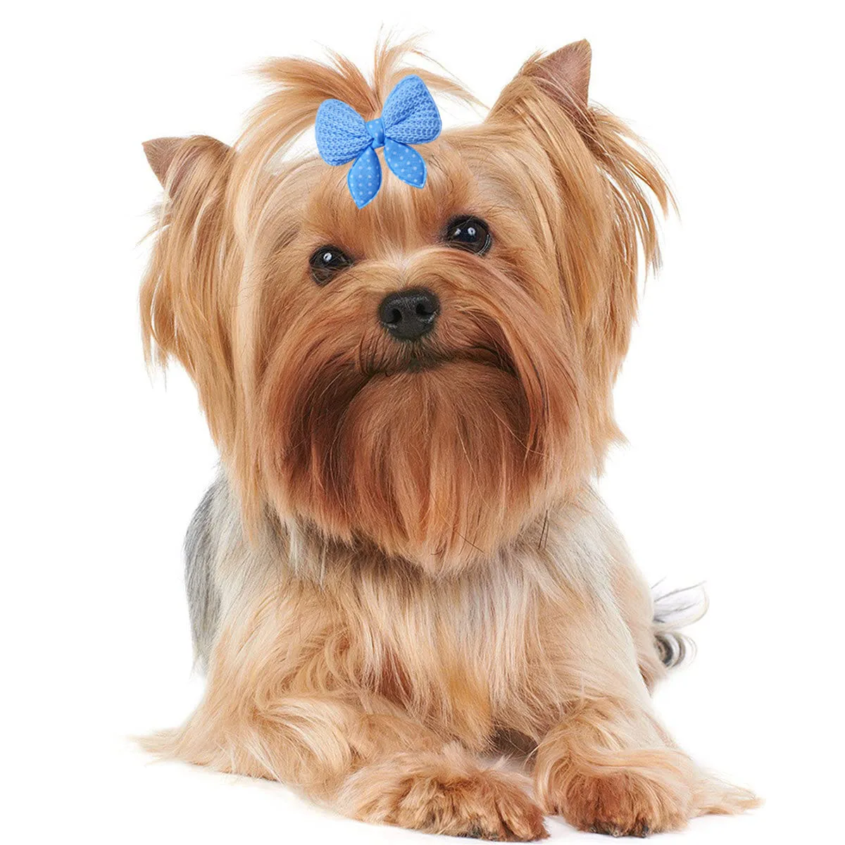 New 100pcs Dog Hair Bows Dog Hair Accessories Rubber Bands Dog Bows Dogs Pets Hair Accessories Pet Grooming Products