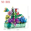 No Box