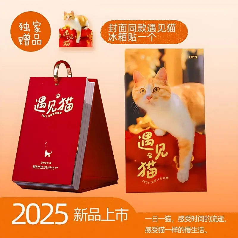 

Meet The Cat Calendar 2025 New Small Fresh Cat Calendar Warm Healing Guide 2025 Desk Calendar