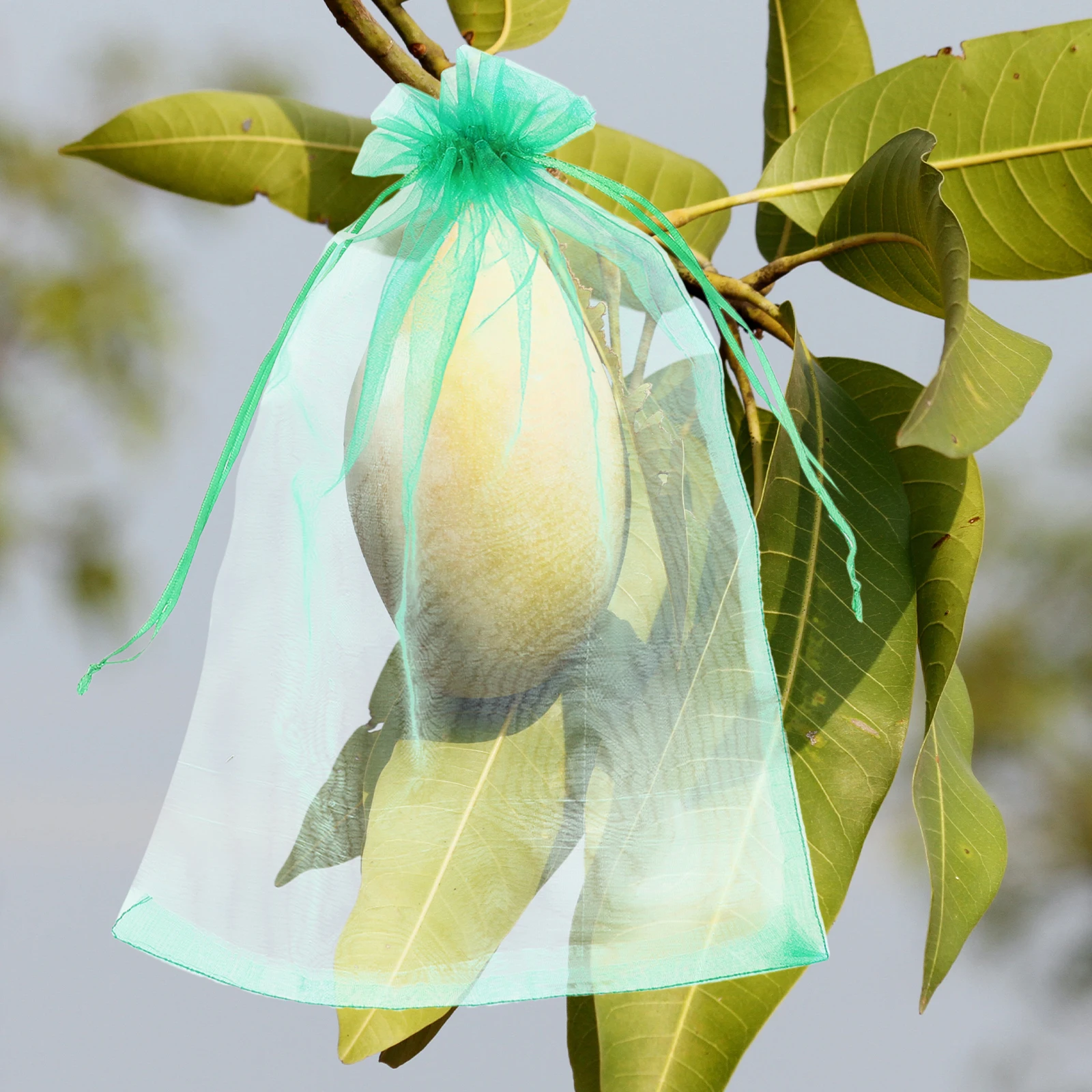 

50 Pcs Insect Net Bag Grape Protection Green Fruit Netting Small Mesh Bags Protective Organza Cover