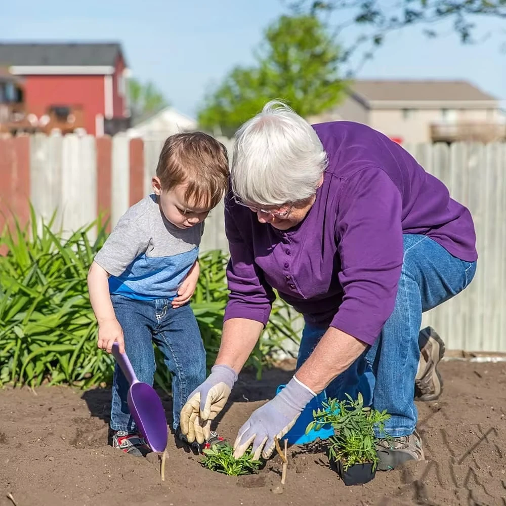 Pala da giardino Pianta Bacchette a mano Piantagione del terreno Scavo Trapianto Multifunzione Spiaggia Sabbia Cibo per animali domestici Scoop Attrezzi da giardino