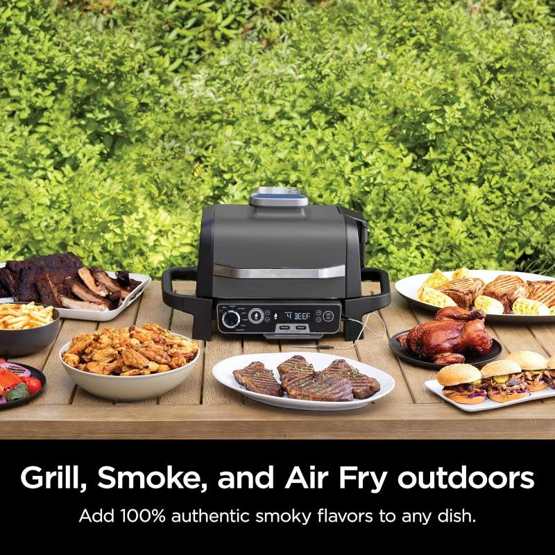 Pro Outdoor Grill and Smoker, Thermometer, BBQ Smoker, Air Fryer, Bake, Roast, Dehydrate, Broil, 7-in-1, Master Grill,