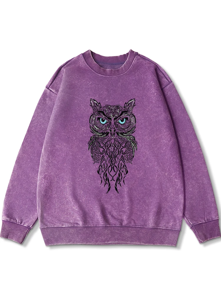 

Blue Eyed Owl Animal Picture Print Women Washed Distressed Sweatshirt Street O-Neck Cotton Oversize Comfortable Pullover Tops