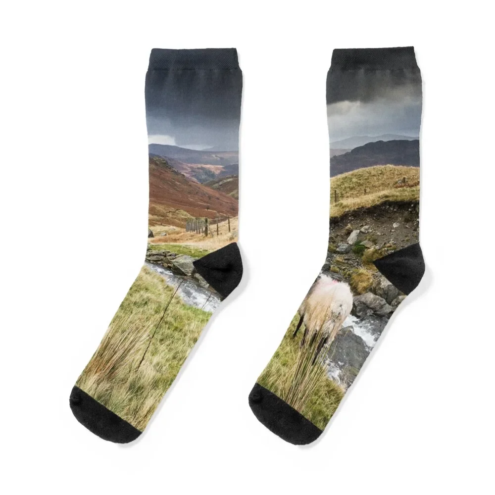 Borrowdale Valley in the Lake District Socks new year Toe sports Luxury Woman Socks Men's