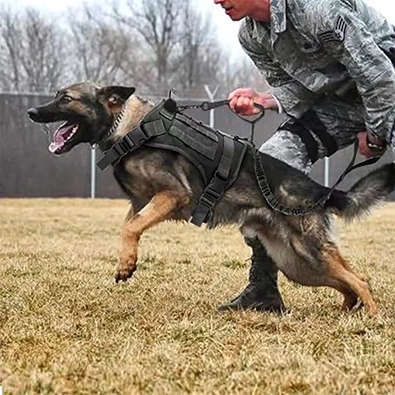 Taktische Militärweste für Haustiere, Outdoor-Trainingsweste, Hundegeschirr und Leine, Set mit Halsband für mittelgroße und große Hunde, Deutscher Schäferhund – Detail 24
