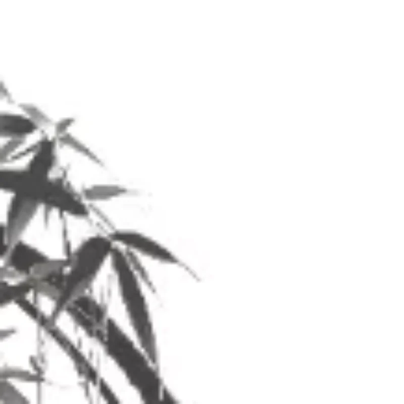 

Медицинский аксессуар, латексный сфигмоманометр, тонометр, шарик, кровяное давление, шейный трактор, воздушный шар, воздушный шар, лампа, насос, клапан