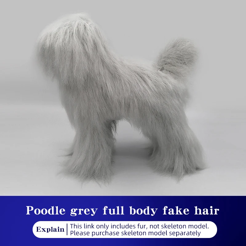 Pet Simulation Hair Beauty Fake Beautician Practicing Dog Standard Poodle Full Body Skeleton Model Dog for Pet Grooming image 3