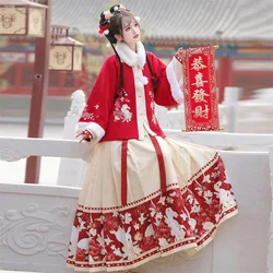 Elegant Hanfu Dress with Embroidery, Chinese Traditional Costume for Women, Rabbit Year Festive Outfit for Autumn and Winter