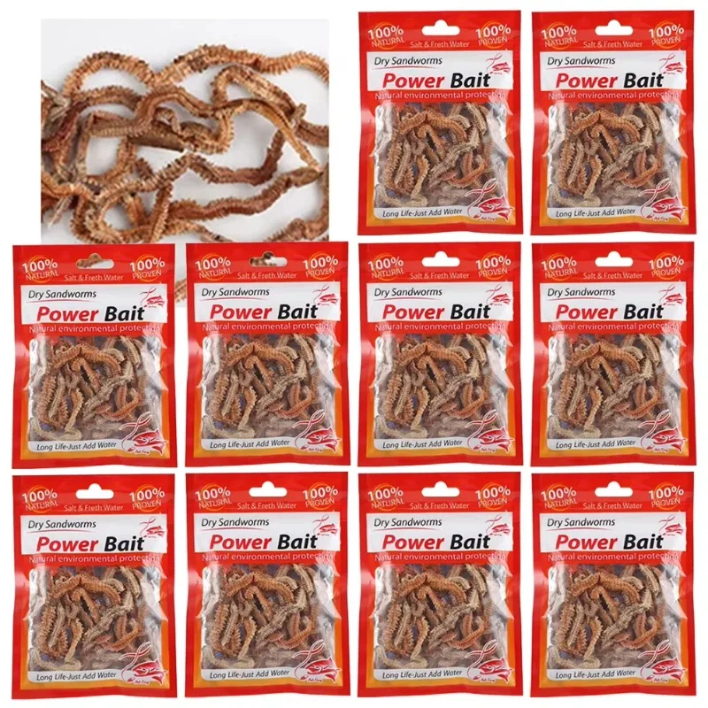 Dry Sandworms 1/3/5/10PCS Fishing Lures Lifelike Dry Lugworm Lures Soft Artificial Bait Saltwater Freshwater Feeder For Fishing