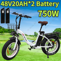 E Bike Folding 750W Motor 48V40Ah Dual Battery All Terrain Electric Bicycle with Basket 20*4.0 Inch CST Fat Tire Electric Bike